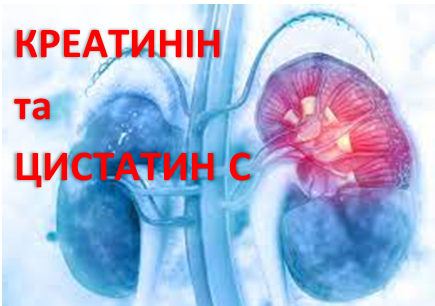 Креатинін та Цистатин С, фото №1