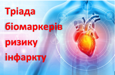 Тріада біомаркерів ризику інфаркту, фото №1